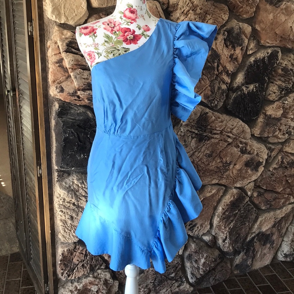 Bardot Blue Ruffle Dress